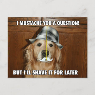 Postal Funny Golden Retriever te hace una pregunta