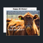 Postal Funny Happy Birday Country Mail Cuentos desde gran<br><div class="desc">Vaya,  es tu cumpleaños,  revisa mi colección de postales en www.zazzle.com/basereality</div>