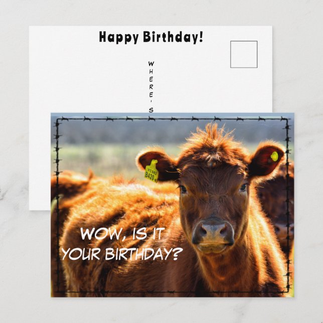 Postal Funny Happy Birday Country Mail Cuentos desde gran (Anverso / Reverso)