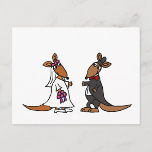 Postal Funny Kangaroo Bride y Groom Boda Design