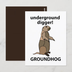 Postal Funny Mascota Groundhog
