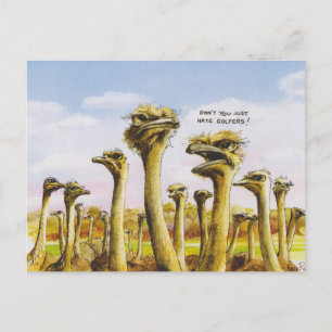 Postal Funny Ostridge