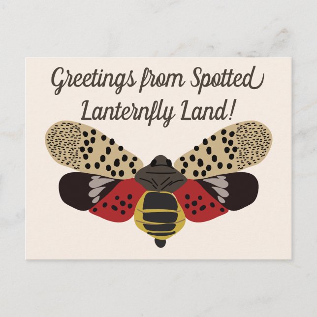Postal Funny Pennsylvania Spots Lanternfly Personalizado (Anverso)