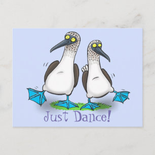 Postal Funny personalizado de danza del pájaro marino con