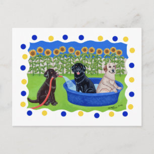 Postal Funny Pool Fiesta Labradors
