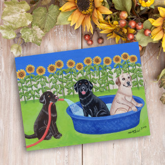 Postal Funny Pool Fiesta Labradors