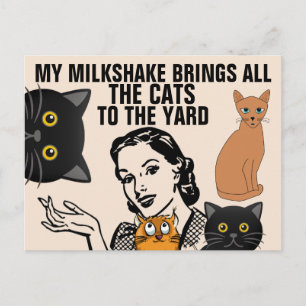 POSTAL FUNNY RETRO HOUSEWIFE CAT LOVER POSTCARDS