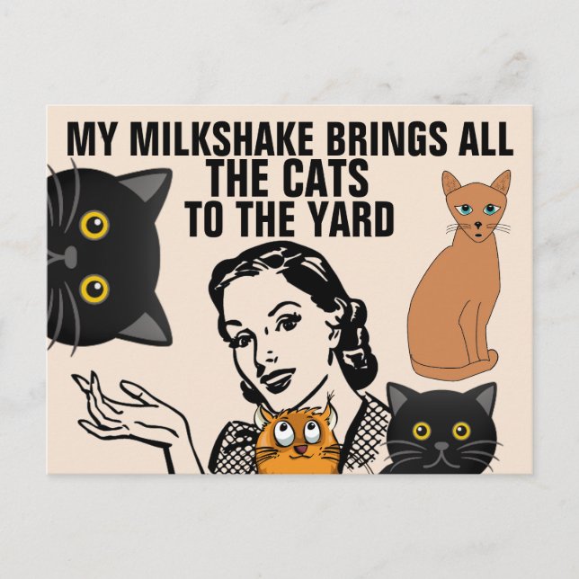 POSTAL FUNNY RETRO HOUSEWIFE CAT LOVER POSTCARDS (Anverso)