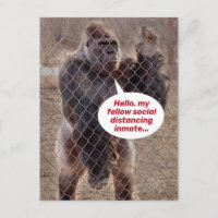 Funny Shelter In Place Gorila Cárcel