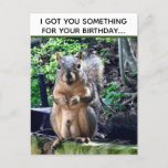 Postal Funny Squirrel Deez Nueces Cumpleaños Inapropiado<br><div class="desc">Te tengo algo para tu cumpleaños...  ¡DEEZ NUTS! Una ardilla hilarante juega con las palabras chiste sobre sus nueces. Humor vulgar para el cumpleaños de un adulto. Haz reír a tus amigos con esta cita de la cultura pop en una postal graciosa.</div>