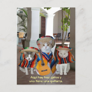 Postal Funny Tres Gatos Ayuda para la Enseñanza Española