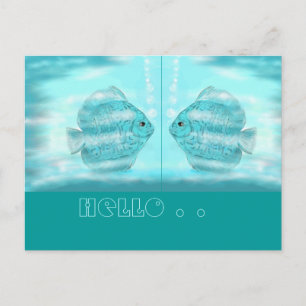 Postal Für Discus-Freunde...postal