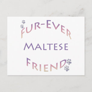 Postal Furever maltés