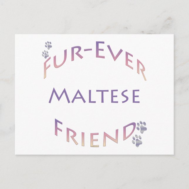 Postal Furever maltés (Anverso)