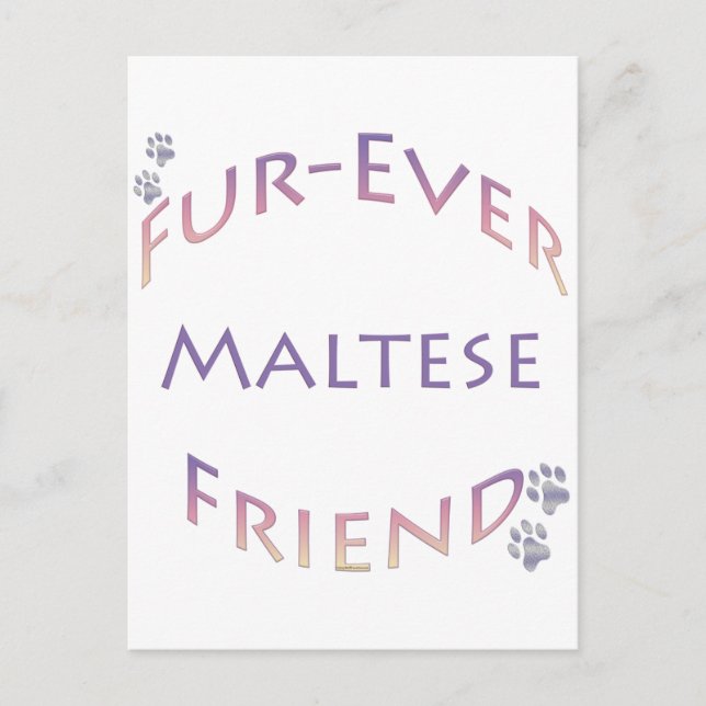 Postal Furever maltés (Anverso)