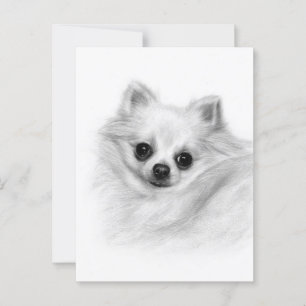 Postal Furry Majesty - mano original pintada Chihuahua