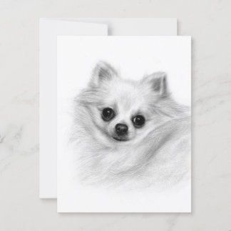 Postal Furry Majesty - mano original pintada Chihuahua