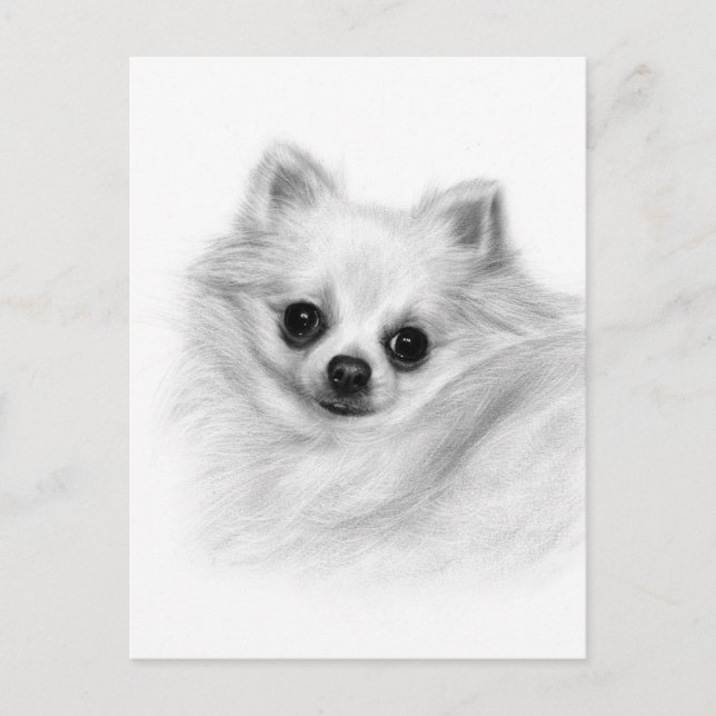Postal Furry Majesty - mano original pintada Chihuahua (Anverso)