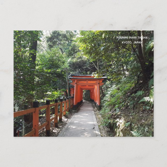 Postal Fushimi Inari Templo Taisha Viaja Kyoto Japón (Anverso)
