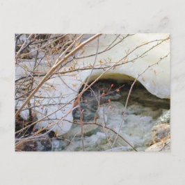 Postal Fusión Invernal Helada
