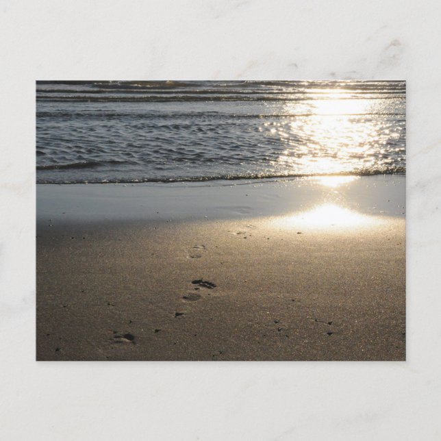 Postal Fußspuren am Sandstrand (Anverso)