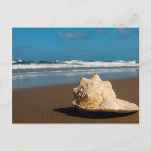 Postal Future Beach (Anverso)