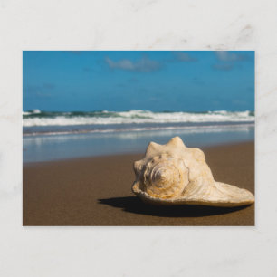 Postal Future Beach
