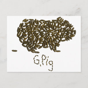 Postal "G. Pig" con cerdo clásico de Guinea