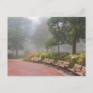 Postal GA Savannah, Azaleas a lo largo de la acera de lad