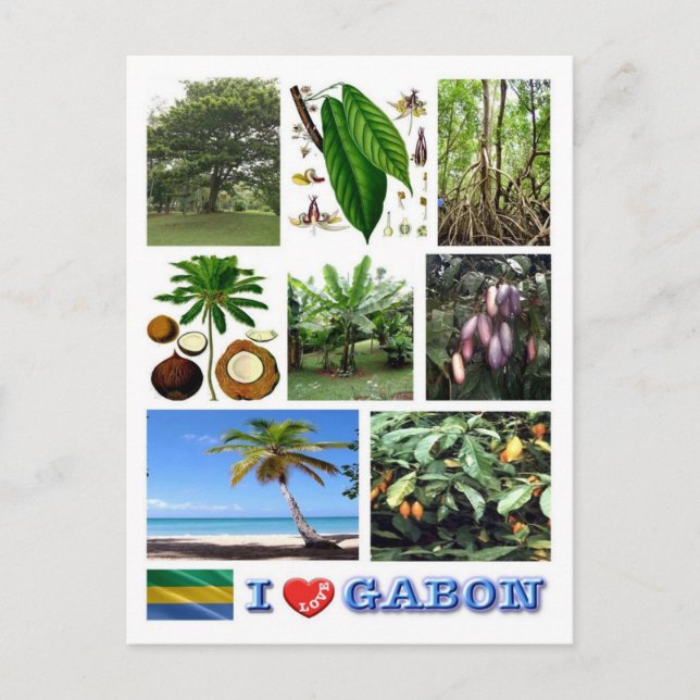 Postal Gabón - Amo Gabón - (Anverso)
