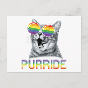 Postal Gafas de sol arcoíris Orgullo Gay Gato Divertido L
