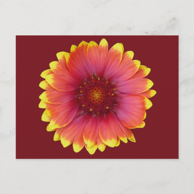 Postal Gaillardia 1 (Anverso)