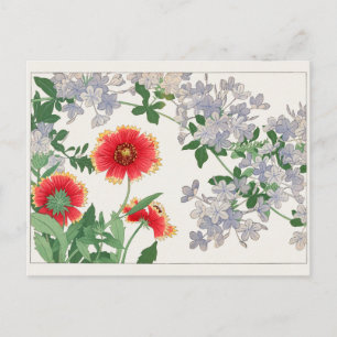 Postal Gaillardia, Plumbago por Tanigami Konan