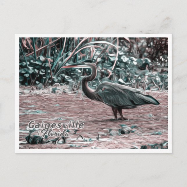 POSTAL GAINESVILLE FLORIDA (Anverso)