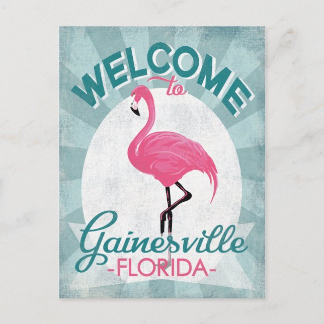 Postal Gainesville Florida Flamingo Retro (Anverso)