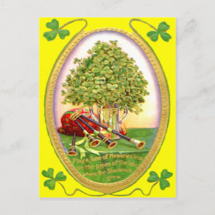 Postal Gaita Shamrock Verde Dorado