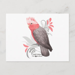 Postal Galah Cockatoo
