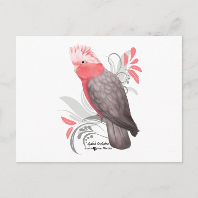 Postal Galah Cockatoo (Anverso)