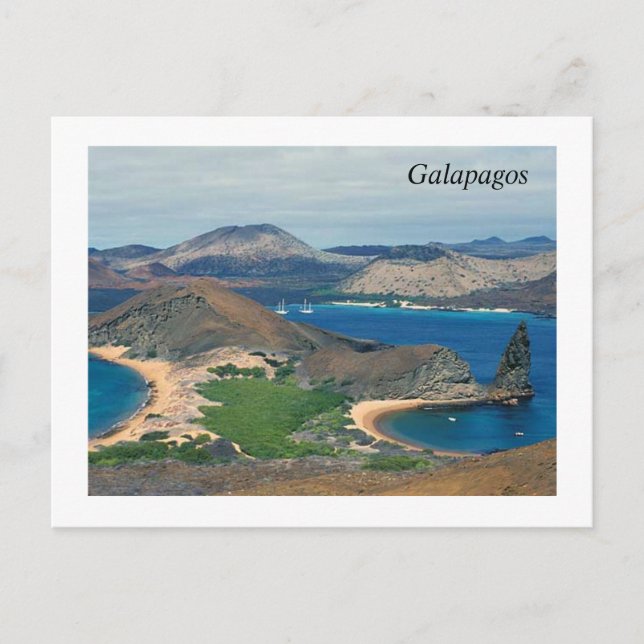 Postal Galápagos - Ecuador (Anverso)