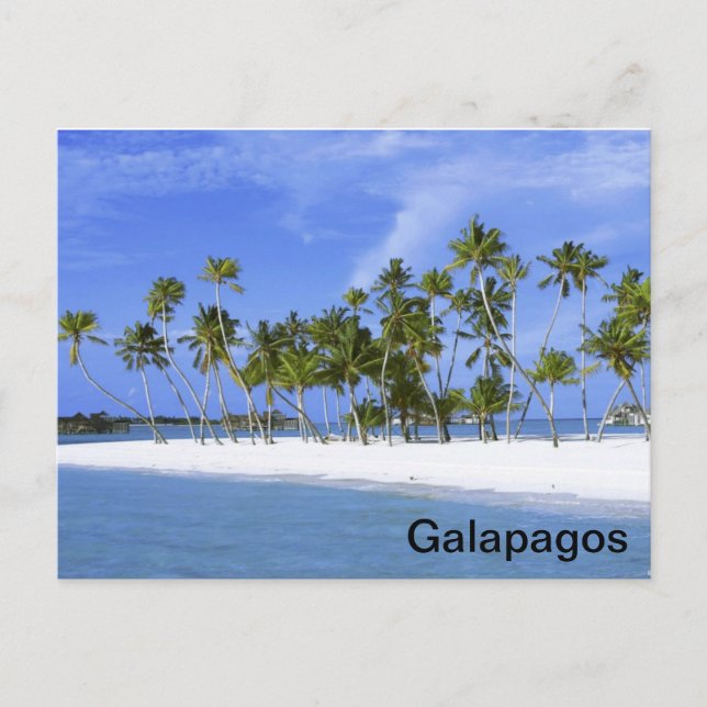 Postal Galápagos - playa (Anverso)