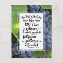 Galatianos 5:22-23 El fruto del espíritu