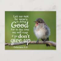 Galatians 6:9 Let us not be weary in doing good