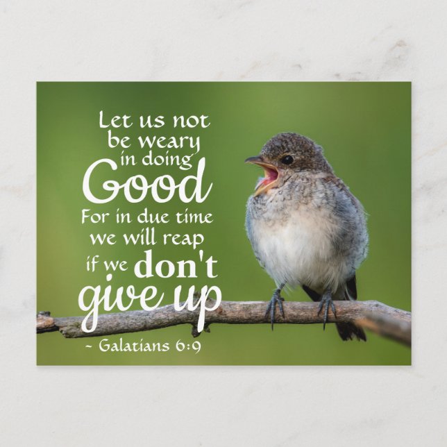 Postal Galatians 6:9 Let us not be weary in doing good (Anverso)