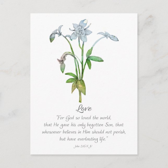 Postal Galatians Fruit of the Spirit Love John 3 16  (Anverso)