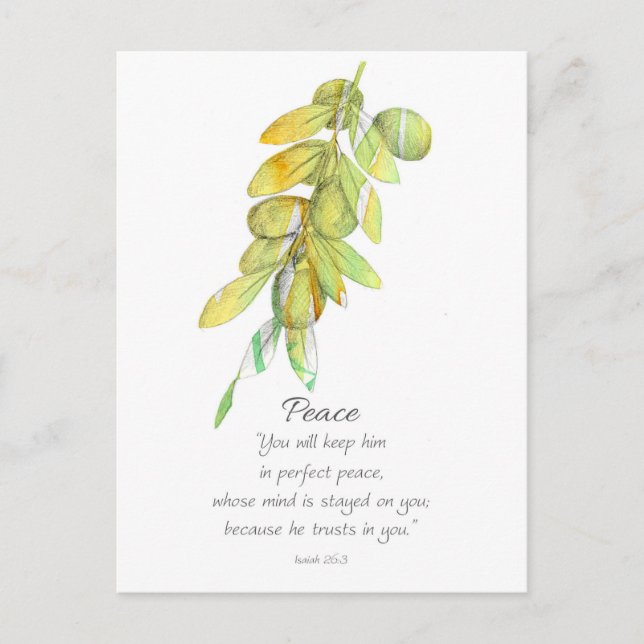 Postal Galatians Fruit of the Spirit Peace Olive Branch (Anverso)