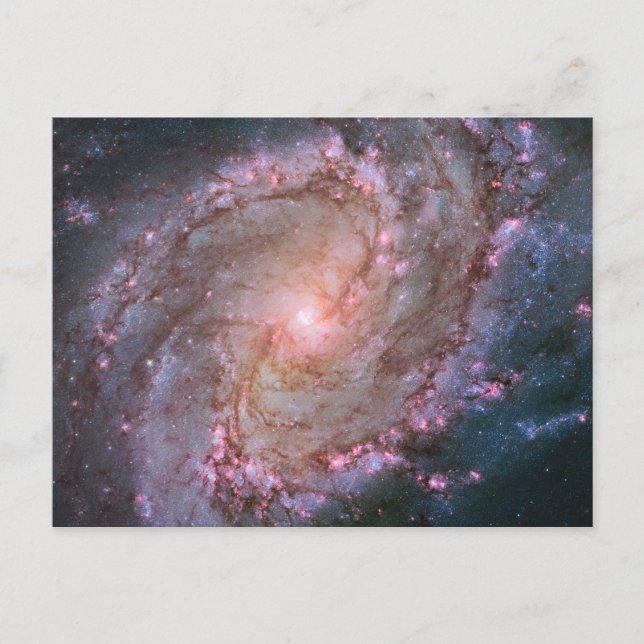 Postal Galaxia Espiral Barrada Messier 83. (Anverso)