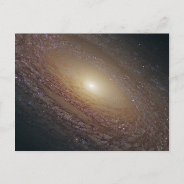 Postal Galaxia Espiral Ngc 2841 (Anverso)
