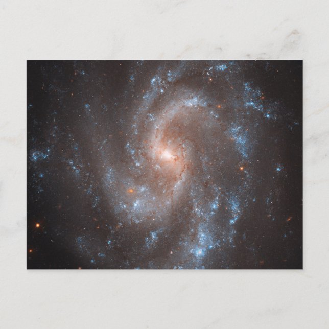 Postal Galaxia Espiral Ngc 5584 (Anverso)