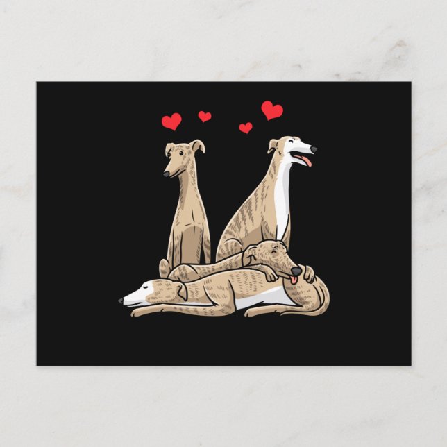 Postal Galgo Español Perro Sighthound Español (Anverso)
