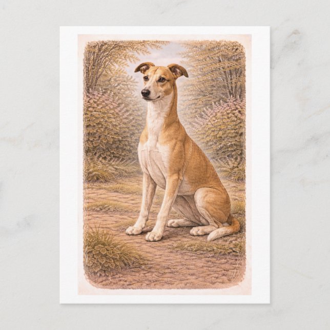 Postal Galgo gris estilo vintage (Anverso)